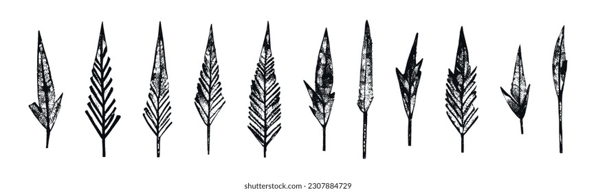 Set of hand drawn leaves or feathers. Collection of grunge design vector elements.