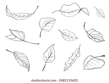 Set of hand drawn leaves. Flying autumn leaves. Style on doodle. Vector