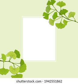 Set of hand drawn leaves ginkgo biloba. Collection ginkgo biloba isolated leaves on a branch berry.
Set of medical, botanical plant. Vector sketch hand drawn.