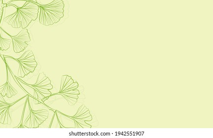 Set of hand drawn leaves ginkgo biloba. Collection ginkgo biloba isolated leaves on a branch berry.
Set of medical, botanical plant. Vector sketch hand drawn.