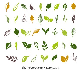 Set of hand drawn leaves, green leaf, sketches and doodles of leaf and plants, green leaves vector collection