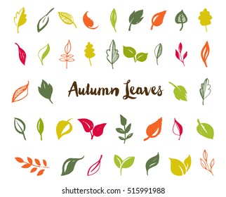 Set of hand drawn leaves, green leaf, sketches and doodles of leaf and plants, green leaves vector collection