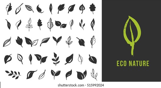 Set of hand drawn leaves, green leaf, sketches and doodles of leaf and plants, green leaves vector collection