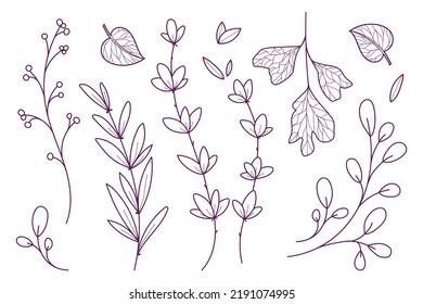 Conjunto de hojas dibujadas a mano en estilo de arte de línea. Para crear fondos, banners, tarjetas de boda. Ilustración de vectores aislada