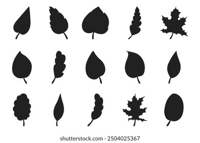 Set of hand drawn leaves silhouettes isolated on white background.Beautiful doodle collection of leaves. 
