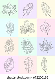 Set of hand drawn leaves. Template for your design works. Vector illustration.