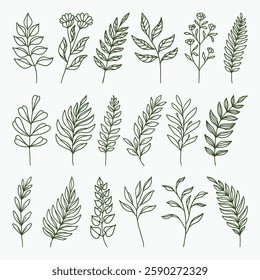 Set of hand drawn leaves vector