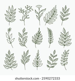 Set of hand drawn leaves vector
