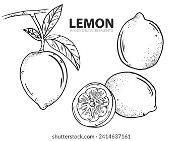 Un conjunto de limón dibujado a mano, planta de limón, limón cortado, limón entero. adecuado para su diseño de infografía, banner, afiches.