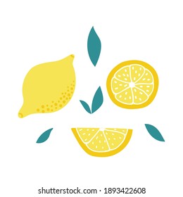 Set of hand drawn lemon, slice and leaves. Flat illustration.