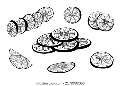 Set of hand drawn lemon slices. Isolated black on white elements for design