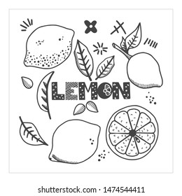 Set of hand drawn lemons, leaves, symbols and text. Healthy and fresh citrus set on white background. Vector illustration. For digital advertisement, presentations, posters, brochure and prints.