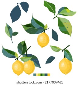 Set with hand drawn lemons and leaves. Make your own design. Clip art with citrus. Fruits bundle. Vector illustration.