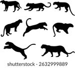 Set of hand drawn leopard silhouette illustration in various pose
