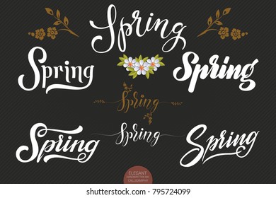 Set of hand drawn lettering Spring. Elegant modern handwritten calligraphy. Vector Ink illustration. Typography poster on dark background. For cards, invitations, prints etc.