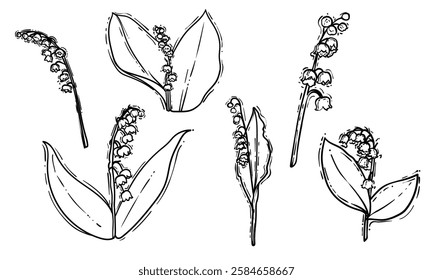 Set of hand drawn lilies of the valley. Black line art of beautiful winter flowers isolated on a white background. Illustration for online and print projects.