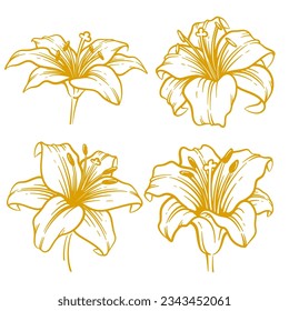 Conjunto de ilustraciones de flores de lirio dibujadas a mano. Colección de arte de la línea de flores de Lily
