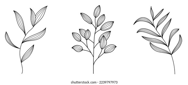 Set of hand drawn line art leaf branch vector. Botanical leaf branch collection of black white drawing contour simple style. Design illustration for prints, logos, cosmetics, poster, card, branding.