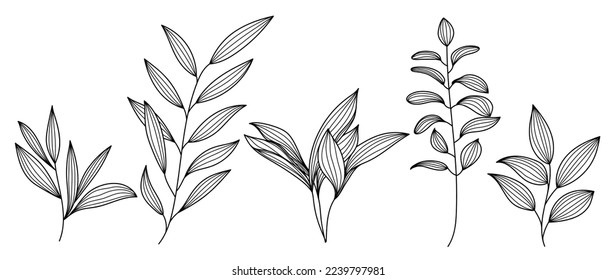 Set of hand drawn line art leaf branch vector. Botanical leaf branch collection of black white drawing contour simple style. Design illustration for prints, logos, cosmetics, poster, card, branding.