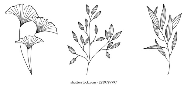 Set of hand drawn line art leaf branch vector. Botanical leaf branch collection of black white drawing contour simple style. Design illustration for prints, logos, cosmetics, poster, card, branding.