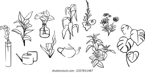 Set of hand drawn line art botanical elements. Vector illustration.
