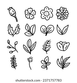 set of hand drawn line art garden plant