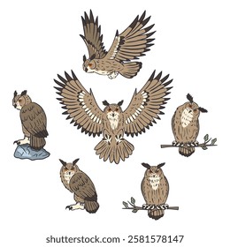 Set of hand drawn line art eagle-owls sitting and flying isolated on white background. Nocturnal birds vector illustrations bundle