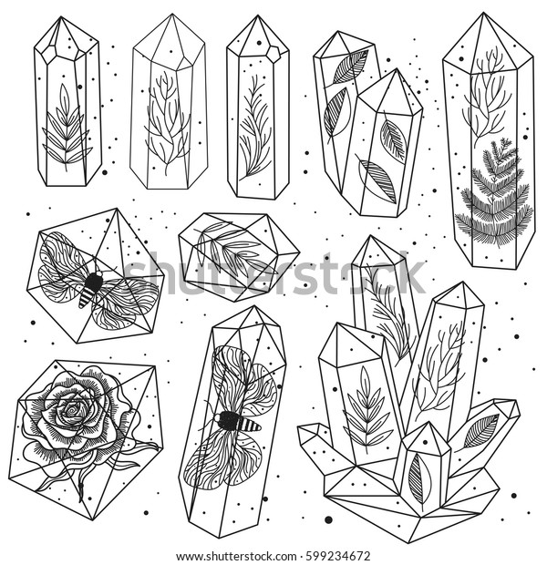 手描きのラインアートの結晶と葉 蛾 宝石 分離型物体の中にバラ 白黒の透明テラリアム 魔法のおとぎ話ハロウィーンのテーマ ベクターイラスト のベクター画像素材 ロイヤリティフリー