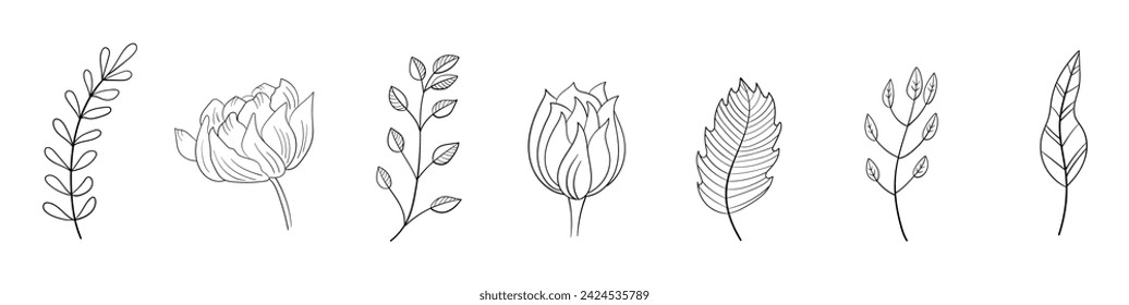 Set of Hand Drawn Line Flowers vector