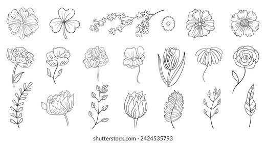 Set of Hand Drawn Line Flowers vector