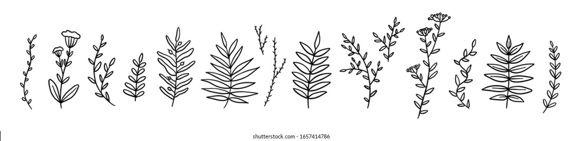 Set of hand drawn line twigs. Stock vector illustration isolated