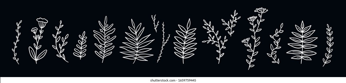 Set of hand drawn line twigs. Stock vector illustration isolated. Chalky Branches and flowers on black background