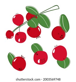 Set of hand drawn lingonberry. Flat illustration.