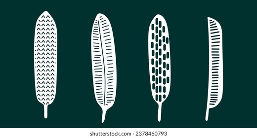 set of hand drawn long leaves