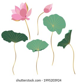 Set of hand drawn lotus flowers and leaves. Sketch floral botany collection in graphic colored golden style Bloomed, buds and leaves. 