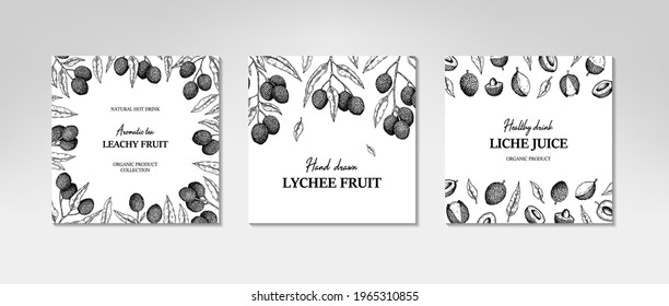 Set of hand drawn lychee designs for packaging, banners, advertising, newsletters. Vector illustration in sketch style