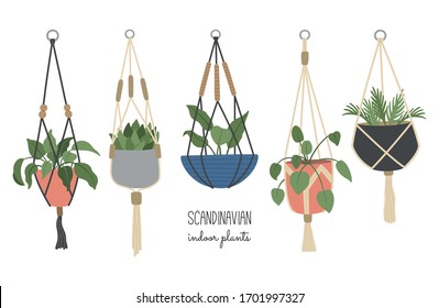 Set of hand drawn macrame house plant, urban jungle in Scandinavian style, home decoration. Vector illustration, design, isolated background. 