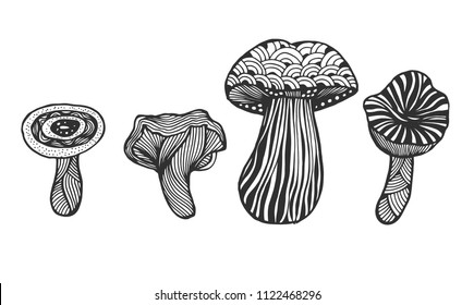 Set of Hand drawn magic mushroom for adult anti stress Coloring Page with high details isolated on white background, illustration in zentangle style. Vector monochrome sketch.