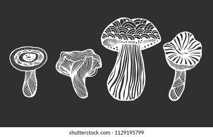 Set of Hand drawn magic mushroom for adult anti stress Coloring Page with high details isolated on white background, illustration in zentangle style. Vector monochrome sketch.