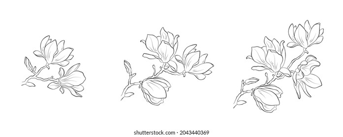 handgezeichnete Magnolienblumen. Kontur blühende Illustrationen. Vektor-Blumenelemente für Grußkarten und Einladungsdesign