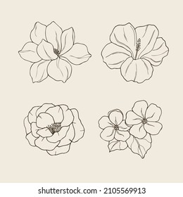 Set of hand drawn magnolia, hibiscus, camellia, jasmine