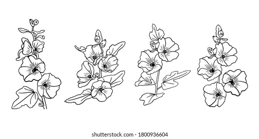 Set of hand drawn mallow flowers in graphic style