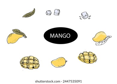 Set of Hand drawn Mango fruit and slices with ice in sketch art colored. Vector illustration of tropical fruit for healthy - mango. Ink paint art in vintage style. 