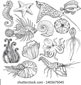 Set with hand drawn marine life, vector illustration