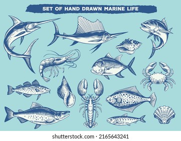 Set of Hand Drawn Marine Life Animals