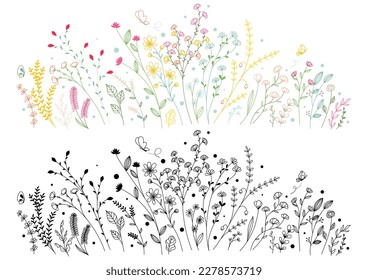 Set of hand drawn meadow flowers and plants. Vector illustration.