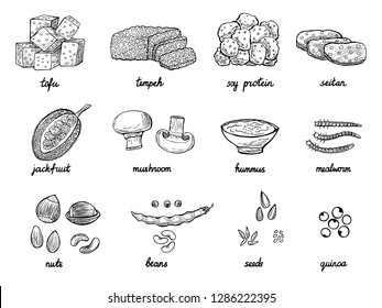 Set of hand drawn meat alternative or analogue for vegans, vegetarians, healthy eating. Food icons of soy protein, beans, tempeh etc. Black and white doodle vector illustration