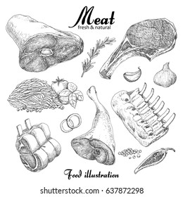 Set of hand drawn meat isolated on white background. Vector illustration for your design