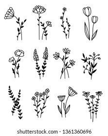 Set of hand drawn minimalistic outlines of wildflowers, vector illustration