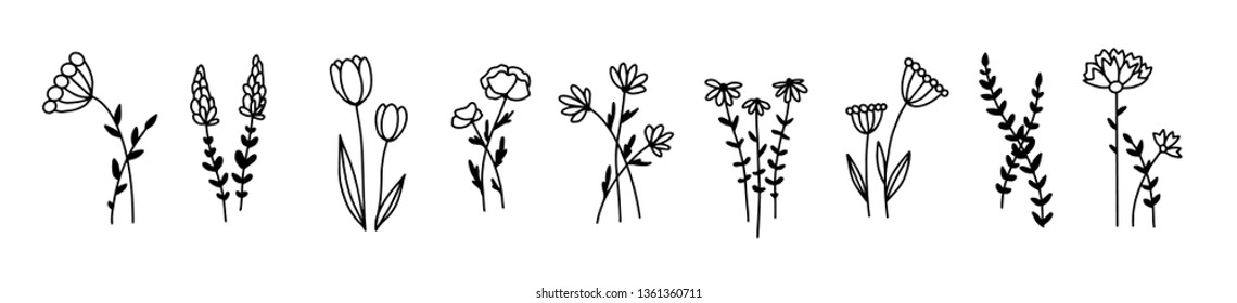 Free Free 310 Outline Wildflower Svg SVG PNG EPS DXF File